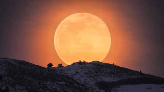 Moon and Rising Signs and what they reveal beyond your Sun Sign