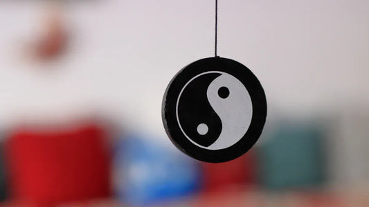 Yin and Yang as the Dualistic Foundation of I Ching's Wisdom