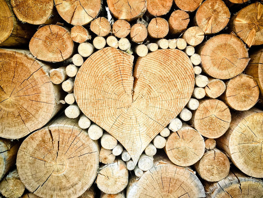 Personality Profile of the Wood Element: Growth, Creativity, and Benevolence