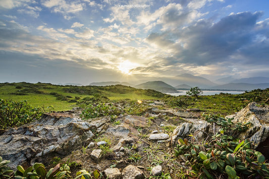 Feng Shui: The Art of Energy Flow and Environment